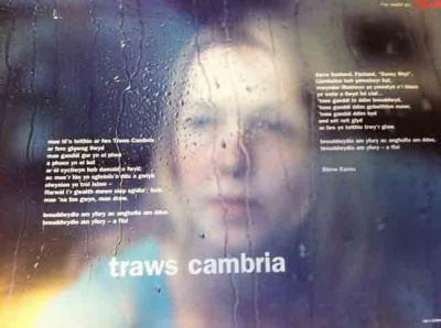 Llun o 'Poster Traws Cambria' gan Steve Eaves